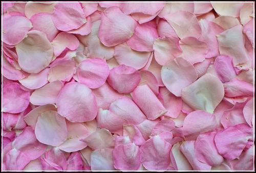 ํ๋ํ์๋ณดํ ์ฌํ์ ๋ฆฌ ๋ง์กฑ์ค๋ฝ๊ฒ