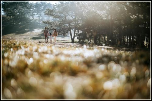 신한생명 정기보험 받아보세여  비교하기