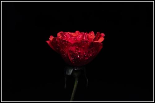 ์คํ
์ด์
์ ๊ธฐ๋ณดํ ๋ณด์ฅ์ ๋ณด ์ถ์ฒ
