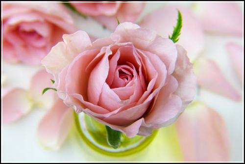 ๊ฒฝ์์ธ์ ๊ธฐ๋ณดํ ์ดํด๋์ธ์ ๋ด์ฉ ๊ผญํด์