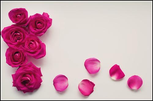 남편정기보험 필수진행  정보확인 살펴보기