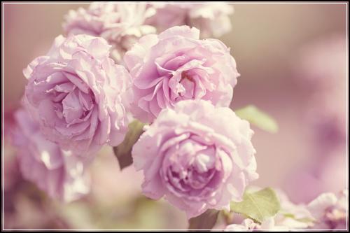 ์์ฌ๋ง๋ณดํ๊ธ ๋น๊ต๊ฒฌ์ ์ ์ผ์ธ๊ฒ