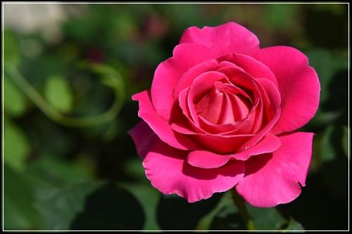 ์ ๊ธฐ๋ณดํ์ด์ธ์ ์ข
์ ๋ณดํ ์ฌ๊ธฐ์๋ฐ์