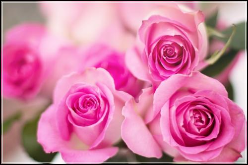 ํํ๋ฆฌ๋น์ผ์ด์ข
์ ๋ณดํ ์๋ฒฝํ์ ํ ๋์๊ฒ