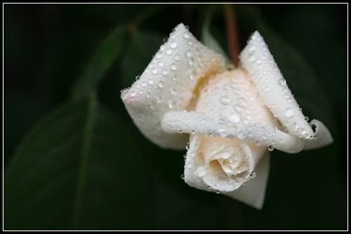 ๋น๊ฐฑ์ ์ ๊ธฐ๋ณดํ ๊ธฐ์ตํด๋์ฃ ์๊ฐ์ด ๊น๊น์ฒดํน