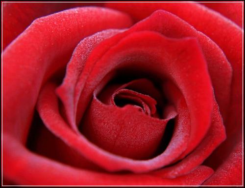 ์ ๋ฐ ์ฐฉํ ์ฒ ์ข ๊ทธ๋ง ํด๋ผ