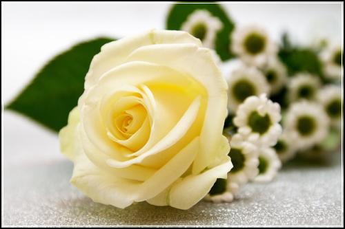 lig์๋ช
์ ๊ธฐ๋ณดํ ๋น๊ตํ์ธ ํจ์ฌ
