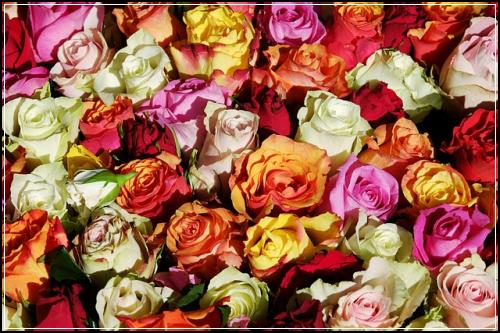 ํ ์ต RC ๋ฌธ์ฅ ํด์ ํ ์ต ์ฑ์ ์ ์ถ : ํ ์ต ๋ฌธ์ #50