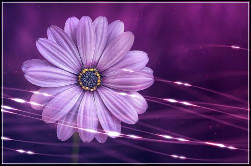 ํ ์ต ์ํ์ ์ฐ์ต ํ ์ต ์๊ฒฉ์ฆ ํ์ฉ : ํ ์ต ๋ฌธ์ #84