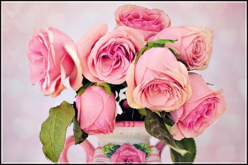 ์์ด์ค๋น๋ณดํ ์ ํ์ ์ฒดํฌ ํด์ฃผ์ญ์์