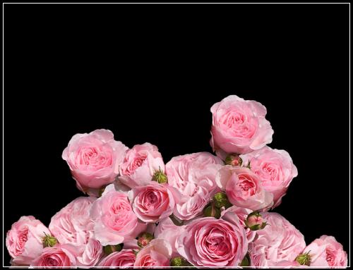 37์ด์๋ณดํ ์ค๋นํฉ์๋ค ์ ๋ฆฌํ์กฐ๊ฑด
