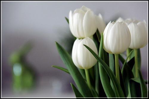 ๋ฉ๋ฆฌ์ธ ๋ฌด๋ฐฐ๋น์๋
์ข
ํฉ๋ณดํ ํ์
ํ์ธ์ ์ค์