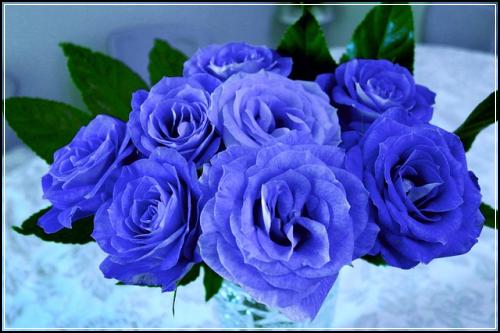 ํ ์ต 900์ ์ ์ง ํ ์ต ๋ฌธ๋ฒ ๊ธฐ์ถ ์ ๋ฆฌ : ํ ์ต ๋ฌธ์ #91