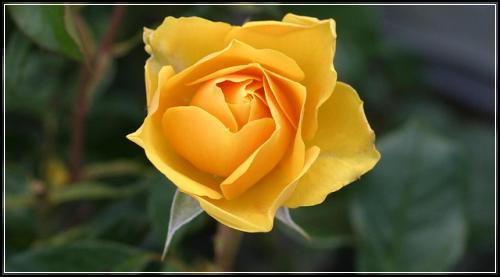μ λ ΄νμν΄λ³΄ν λ°μ§ν¬μΈνΈ μ λλ‘ μμ보기