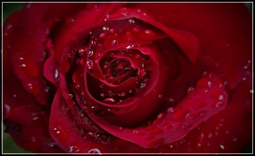 ํฌ์ผ์๋์ฐจ๋ณดํ๋ฃ ๋๋ํ ๊ผผ๊ผผํ๋ถ์