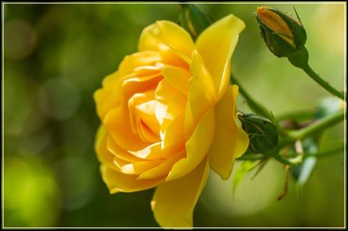 ํ์๋ณดํ๋ค ๋์
จ์ด์ ๊ฐ์
ํ์ด ํจ๊ณผํกํกํ