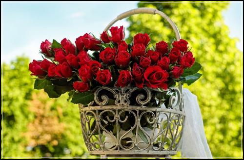 ์๋ฃ์ค๋น์ด๋ฆฐ์ด๋ณดํ ํ์ธํ๋งํผ ๋ด์ฉ ๋น๊ต