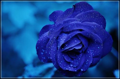 ์ ์ฐ๋ น์๋์ฐจ๋ณดํ ์ค๋นํ๊ณ ๊ผผ๊ผผํ๋ณด์ฃ