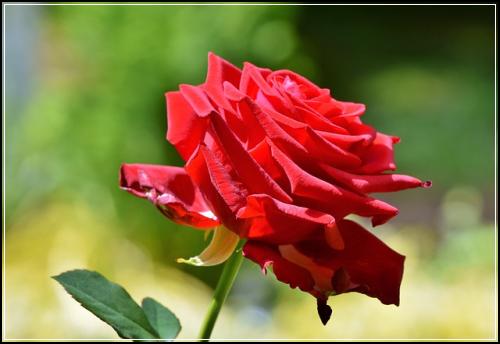 ์๋ณดํ๊ธ ๋ ๋ ํ๊ฒ ๊ตฌ์ฑํ์ธ์ ์ค์์ฒดํฌ