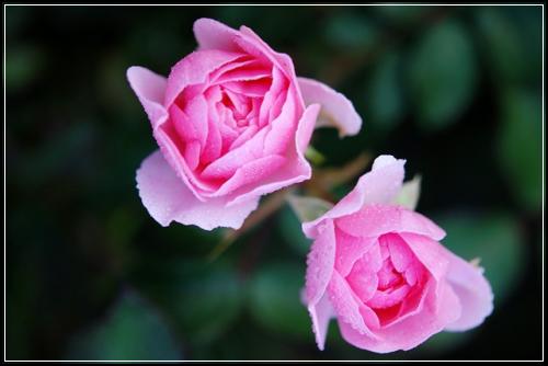 태아보험공구 현대해상 알맞게하기