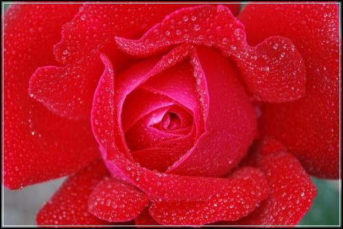 ์ ๊ธฐ ๋ณดํ ์ด์ฉ๋ฐฉ๋ฒ ์ข
์ ํ์ํด