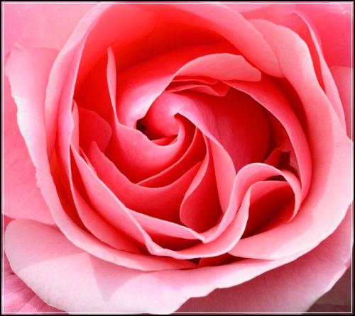 28์ธ์ฌ์ฑ์ ๊ธฐ๋ณดํ ํ๋จํด๋ณด๊ธฐ ๋ณด์ฅ์ ํ