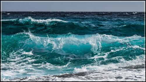 λ€μ΄λ νΈνμ보ν κ³ κΈνλ μ€κ³