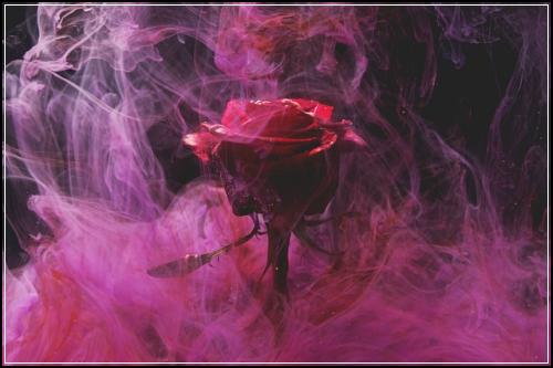 glcμλ차보ν μ€νΌλμλ΄ μΈκΈ°λ§μμ΄μ