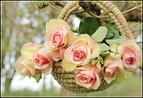 ์ฐ๋ฆฌ๋ ์จ๋ผ์ธ์๋์ฐจ๋ณดํ ์ธ์ธํ๊ฒ