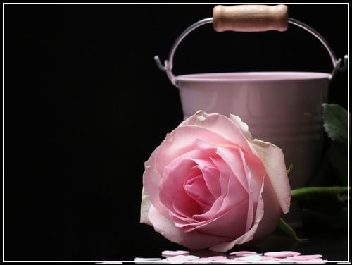 ํ ์ต ๋ฑ๊ธ ๊ธฐ์ค ํ ์ต๊ณผ ํ ํ ์ฐจ์ด : ํ ์ต ๋ฌธ์ #6