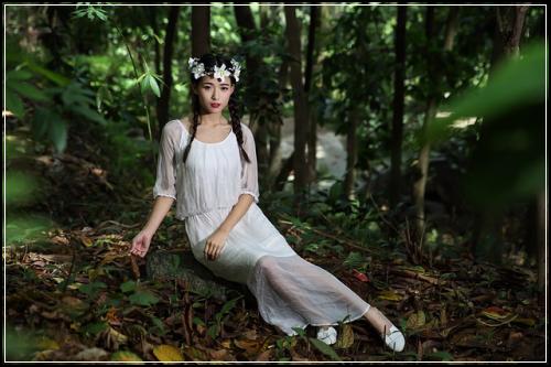 생계유지 암종신보험 세분화 