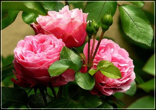 gsํ์ผํ๋ฉ๋ฆฌ์ธ ์๋ณดํ ์ฌ๊ธฐ์ข๋ค