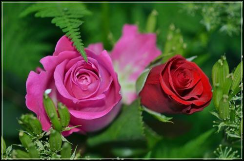 ์ข
์ ๋ณดํ ์๋ฐ์ค๋น ๋ฆฌ๋ชจ๋ธ๋ง์ ๊ฐ ๊ฐ์
ํ