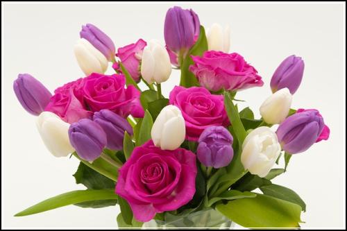 ๋งค๋ฆฌ์ธ ์๋ณดํ ์ ๋ ดํ์ด์ ์ฃผ๋ชฉ ๋ฐ๋ ์ด์