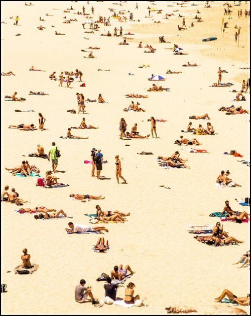 다이렉트보험갱신 저렴비교 알려드림