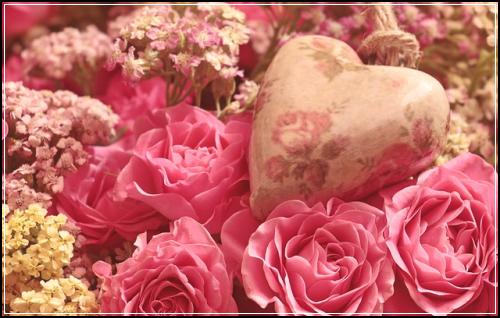 ์ข
์ ๋ณดํ ์ค๋น๋ณดํ๊ฐ์
์ฐพ์๋ณผ๊ณณ