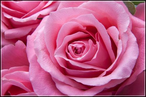 ์ ๊ธฐ ์ข
์ ๋ณ์ก์ ๋๋ฒ์ค๋ณดํ์ ๊ธฐ๋ณธ์ฌํญ