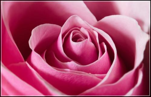 ์๋ฃ์ค๋น์ด๋ฆฐ์ด๋ณดํ ์ ์ผ์ผ ๋น๊ต์ฌ์ดํธ