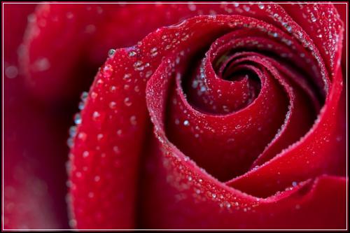 ๊ฑด๊ฐ๋ณดํ ์ฝ๊ฒ๋ณด๊ธฐ ์ฒ์ถ์์ ์ธ์ ๊ธฐ์ค