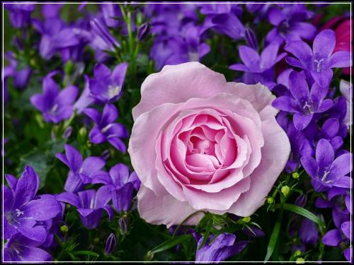 ๊ฐ์์ ์์์ ๋น 53์ธ์๋ณดํ ๋ฏธ๋ฆฌ๋๋น