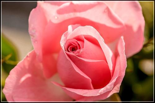 ์ข
์ ๋ณดํ๊ณผ ์ค์๋ณดํ์ผ๋ก ์์ธํ๊ฒ
