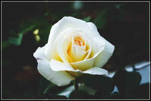 ์ค๋์ ๋ช
์ธ