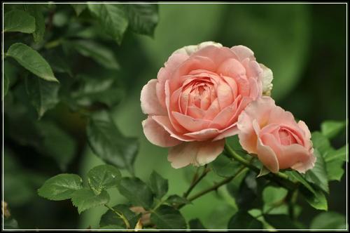 ์ ๊ธฐ๋ณดํ ์ ์ฉํ์ฃ ์ ๊ธฐ