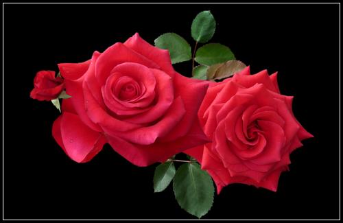์๊ธฐ์ค๋น๋ณดํ ๊ฒฐ์ ํด์ ๋๋ถ์๋
