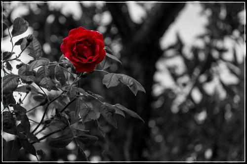 ์ด๋ฆฐ์ด๋ณดํ๊ณต๋ต๋์ ์ค์์๋ณด์ฌ ๋ ๋ ํ
