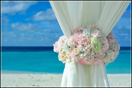 스토닉자동차보험 가입법  아껴봐요