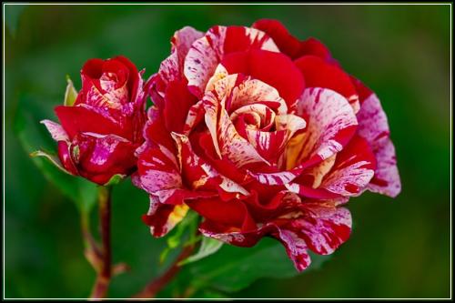 ๋ฌด๋ณดํ์ฐจ์ํด์์ ๋ฌด๋ณดํ์๋์ฐจ ์ปจ์คํ
๋ฐ๊ธฐ