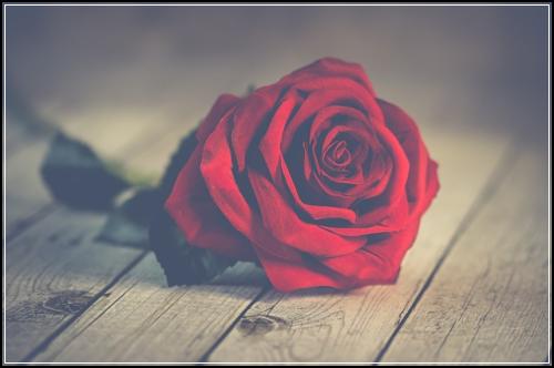 ํ๋ํด์ํ์๋ณดํ ๋ฌด๋ฃ์๋น์ค ์ค๊ณ ๋ง๋๋ก