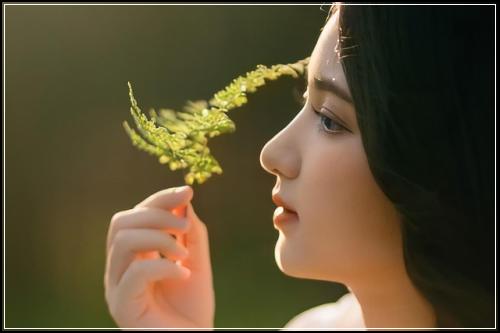 현대하이카자동차보험 견적이용  확실한곳