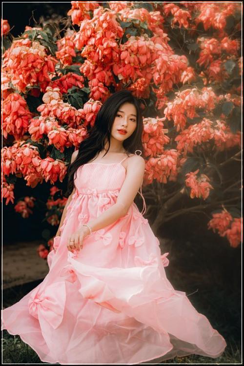 에듀카자동차보험 참고바람  순위사이트
